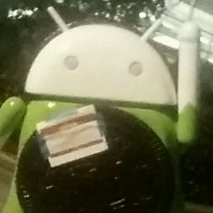 Meet your Posher, Luis